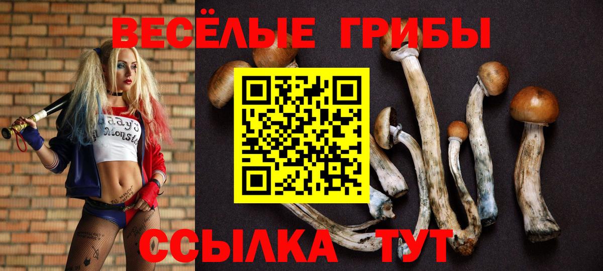 Псилоцибиновые грибы GOLDEN TEACHER Красногорск