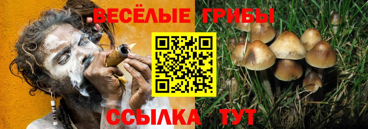 Галлюциногенные грибы Cubensis  Вход с VPN  Красногорск 